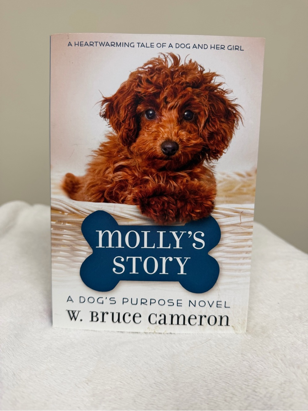 Molly’s Story by W. Bruce Cameron